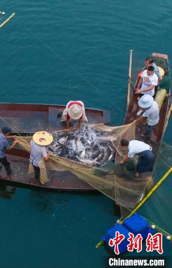 捕魚現(xiàn)場?！≈鬓k方供圖