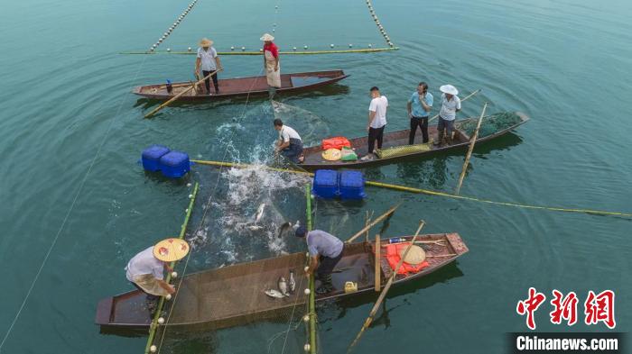捕魚現(xiàn)場。　主辦方供圖