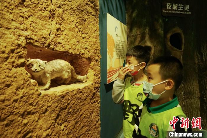 圖為小朋友在青海西寧湟水國家濕地公園科普館內參觀學習?！●R銘言 攝