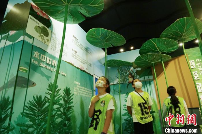 圖為小朋友在青海西寧湟水國家濕地公園科普館內參觀學習?！●R銘言 攝