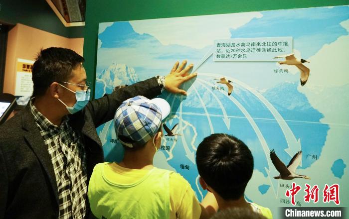 圖為小朋友在青海西寧湟水國家濕地公園科普館內參觀學習?！●R銘言 攝