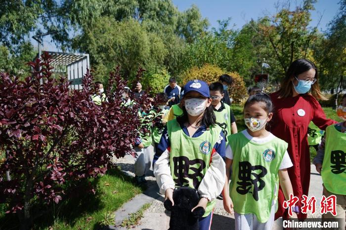 圖為小朋友在青海西寧湟水國家濕地公園內認識植物?！●R銘言 攝