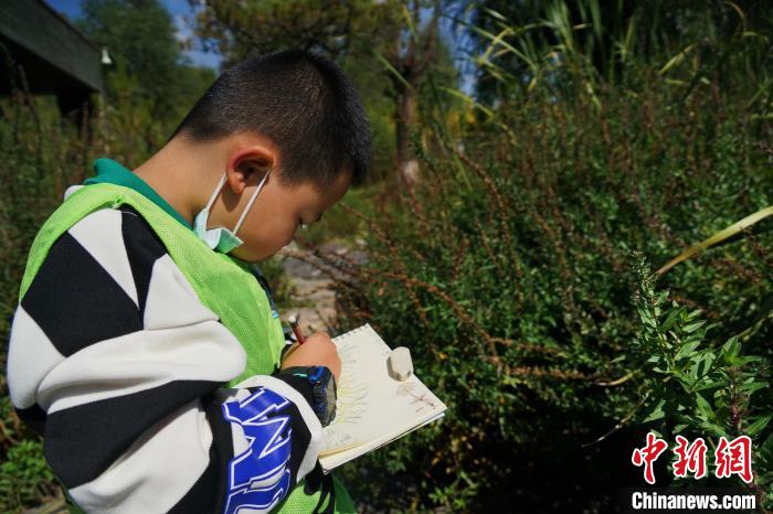 圖為小朋友在青海西寧湟水國家濕地公園內認識植物并進行繪畫?！●R銘言 攝