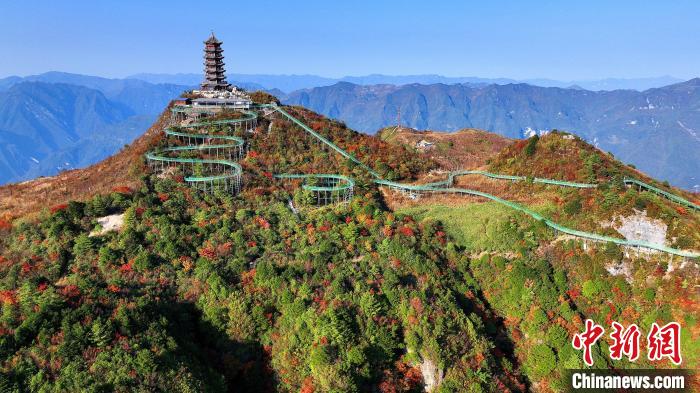 巴山大峽谷彩林迎來最佳觀賞期?！∫κ?攝