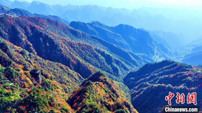 巴山大峽谷彩林迎來最佳觀賞期?！埰?攝