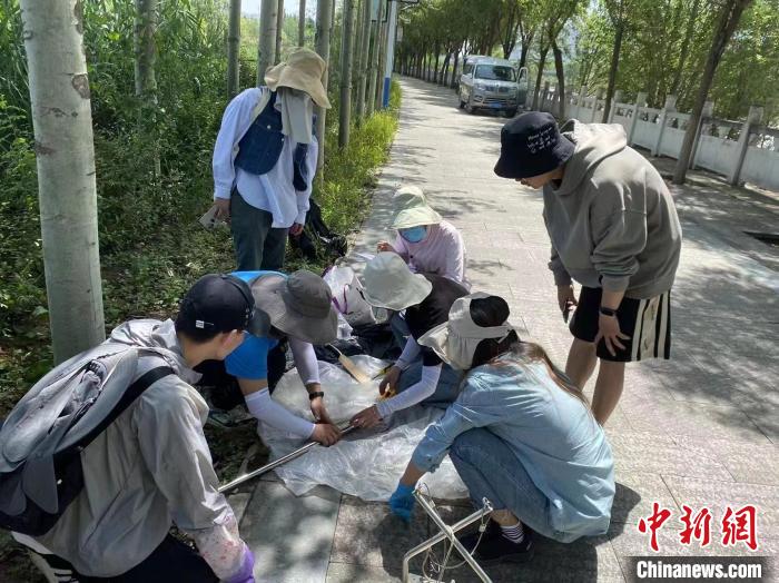 圖為科研人員正在進(jìn)行監(jiān)測(cè)?！∥鲗庝宜畤?guó)家濕地公園供圖