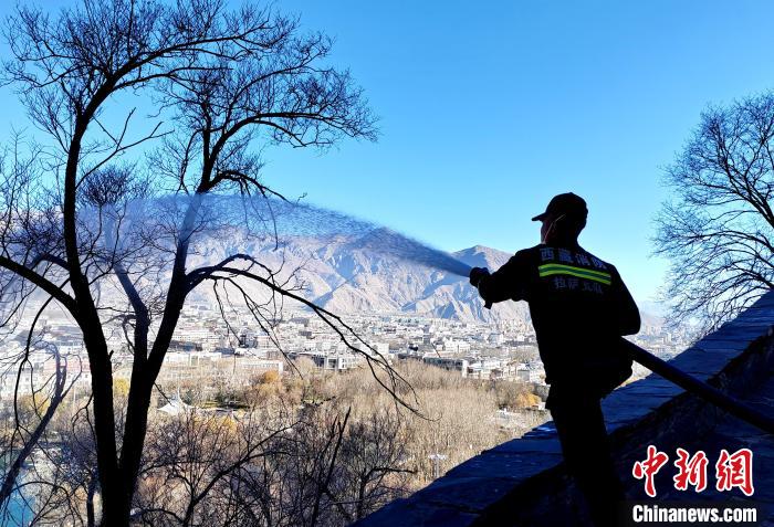 12月6日，布達(dá)拉宮消防救援大隊(duì)在布達(dá)拉宮山體林草區(qū)域開展?jié)窕ぷ?。　劉?攝