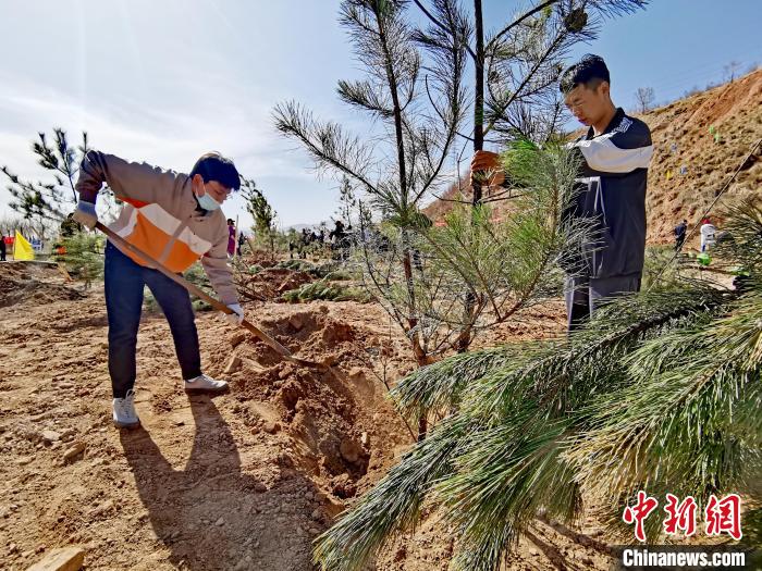 圖為西寧市城東區(qū)義務(wù)植樹活動現(xiàn)場。　張?zhí)砀?攝