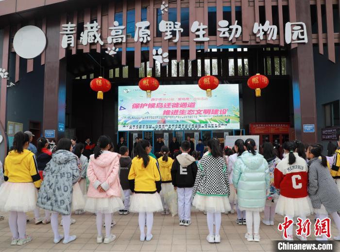 圖為青海省西寧市開展第42屆“愛鳥周”科普宣傳活動?！●R銘言 攝