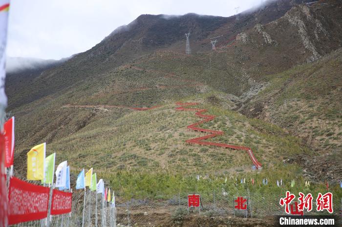 圖為拉薩南北山綠化工程拉薩曲水縣才納村5號(hào)片區(qū)。　貢確 攝