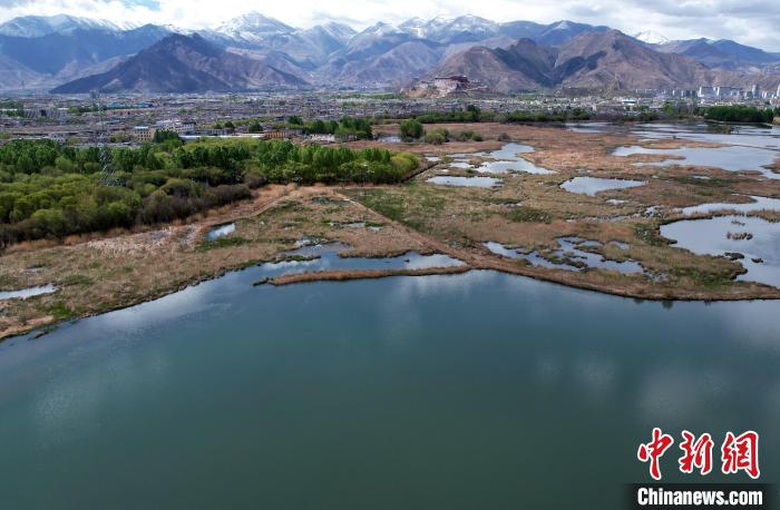 圖為拉薩拉魯濕地。(無人機(jī)照片) 李林 攝