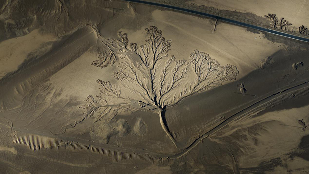 無人機(jī)視角下的西藏阿里地區(qū)改則縣“大地之樹”景觀。尼瑪多吉攝