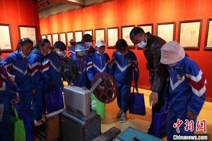 資料圖為玉樹市第四完小學(xué)生參觀鑄牢中華民族共同體意識主題展?！『F龍 攝