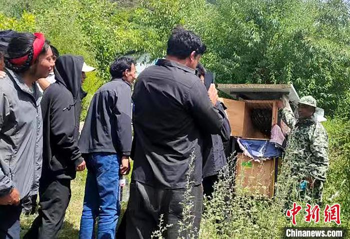 拉久西村村民學(xué)習(xí)養(yǎng)蜂工作流程和防范事項(xiàng)?！〔际忻⒖悼h委宣傳部供圖
