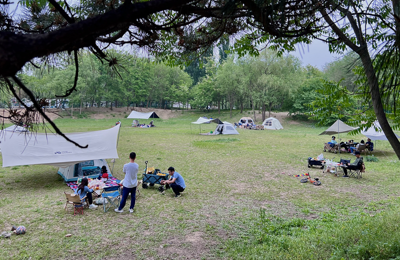 “自駕+露營(yíng)”等多元模式受熱捧。人民網(wǎng)記者 王連香攝