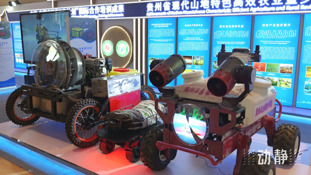 展示成果分享經(jīng)驗(yàn)，中國(guó)—東盟教育交流周深化合作共創(chuàng)未來(lái)！
