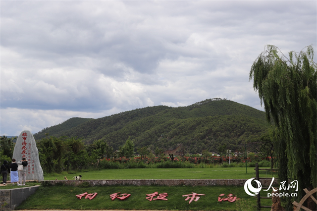 麗江市拉市海景區(qū)。 人民網(wǎng)記者 程浩攝