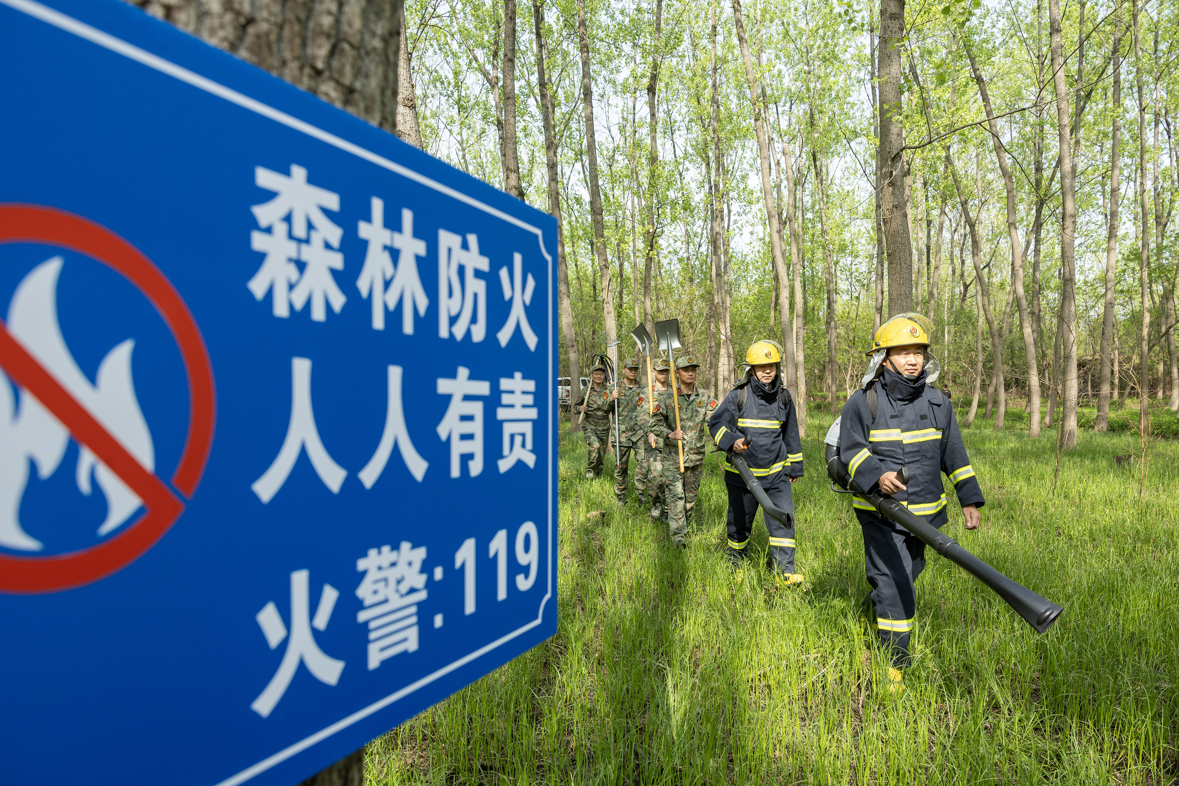 2024年4月9日，合肥市大房郢水庫水源保護地廬陽經(jīng)濟開發(fā)區(qū)段，基干民兵正在林間巡查火災(zāi)隱患。