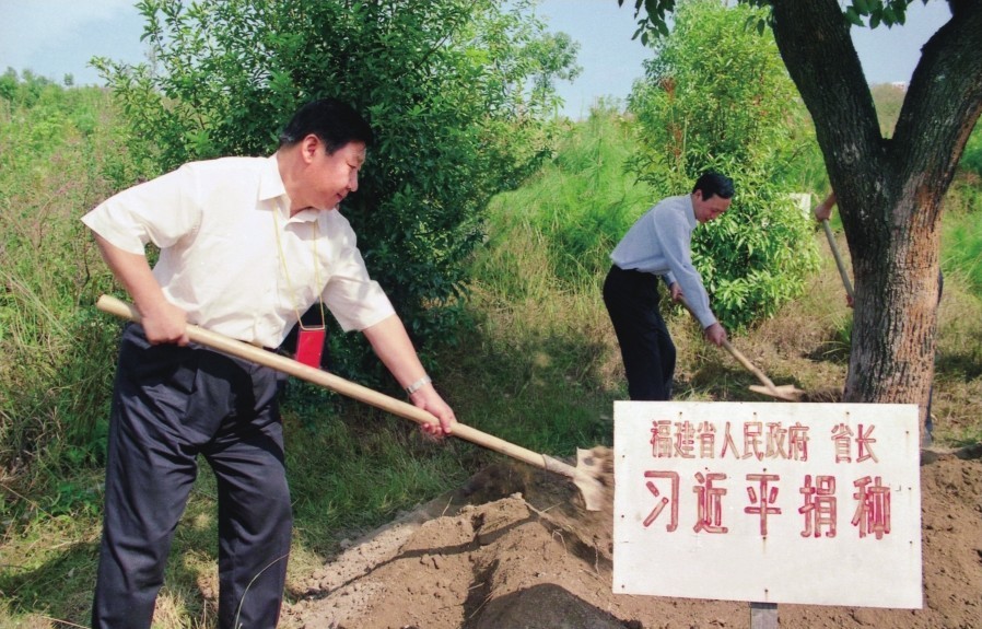 2001年10月，習(xí)近平在龍巖市長汀縣調(diào)研水土流失治理工作，在河田世紀(jì)生態(tài)園為樹培土。圖源：《習(xí)近平在福建（下）》