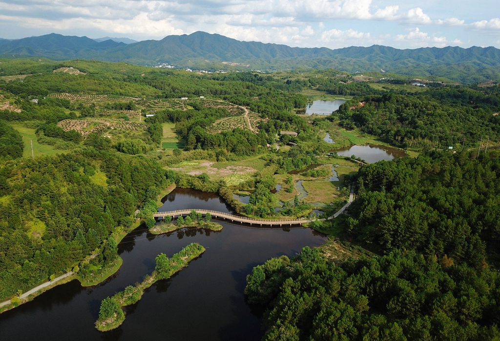 福建省龍巖市長汀縣的長汀汀江國家濕地公園景色（2020年7月28日攝，無人機照片）。新華社記者 魏培全 攝