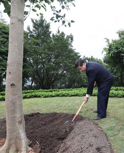 2012年12月7日至11日，習(xí)近平在廣東省考察工作。這是8日上午，習(xí)近平在深圳蓮花山公園種下一棵高山榕樹。新華社記者 蘭紅光 攝