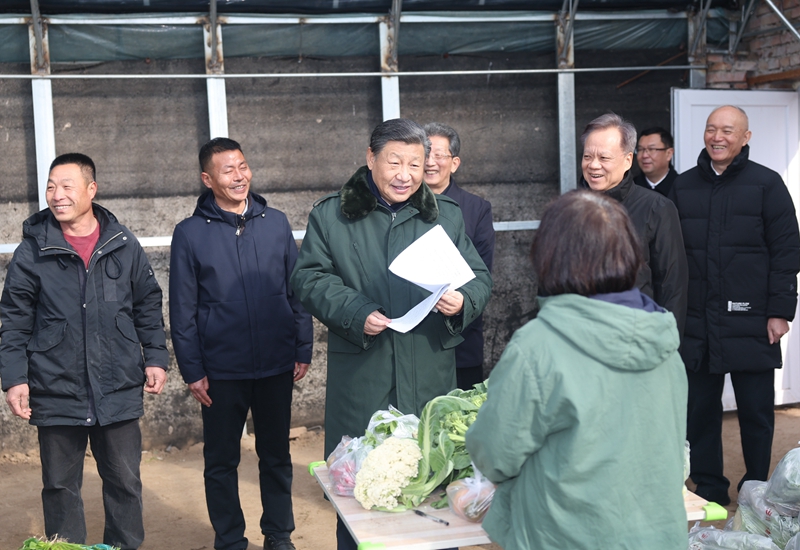 2024年2月1日，習(xí)近平總書記在天津市西青區(qū)辛口鎮(zhèn)第六埠村，走進(jìn)大棚同菜農(nóng)親切交流。