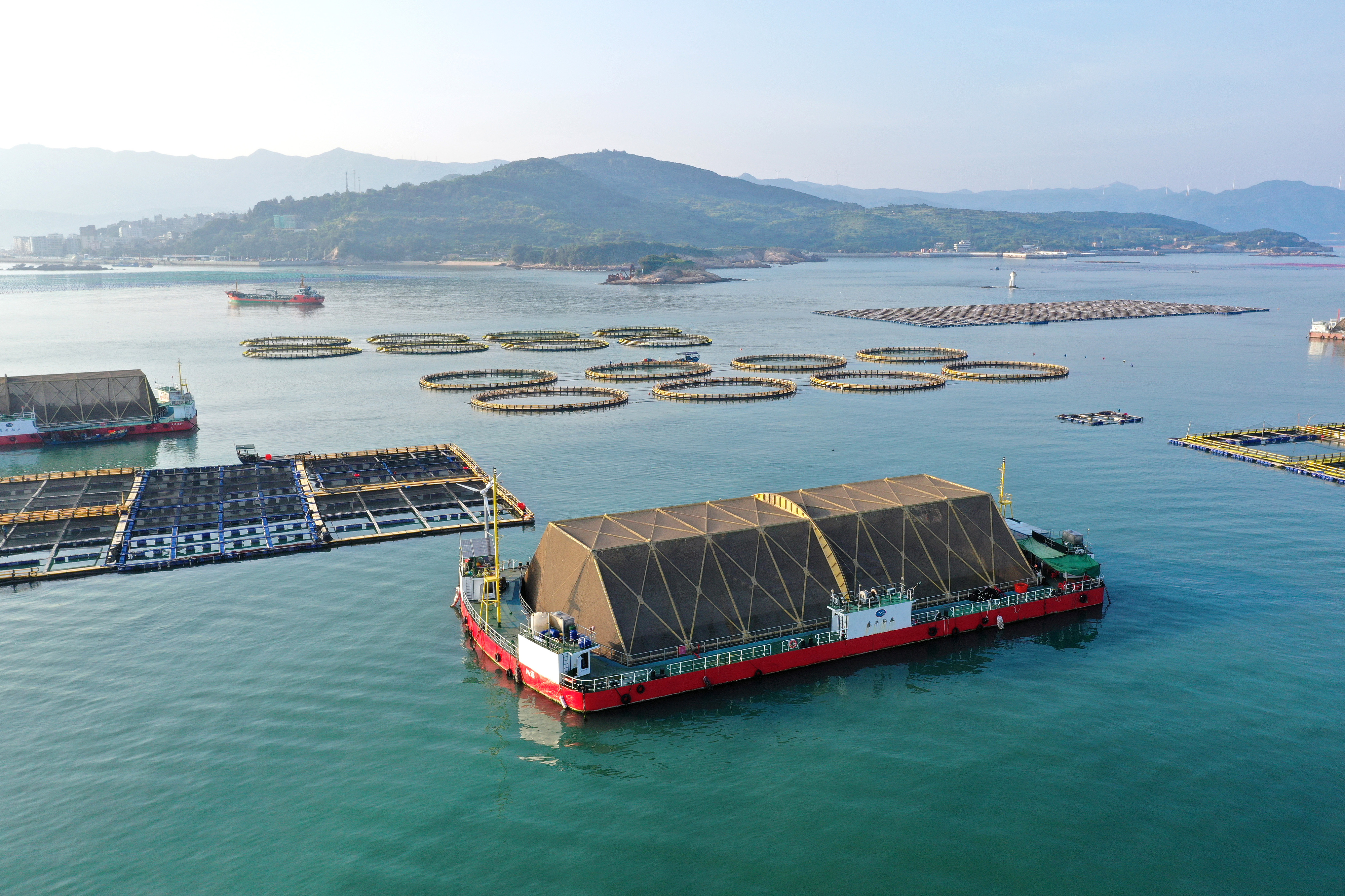 2024年9月10日拍攝的福建省福州市連江縣定海灣海域的現(xiàn)代化“海上糧倉”。