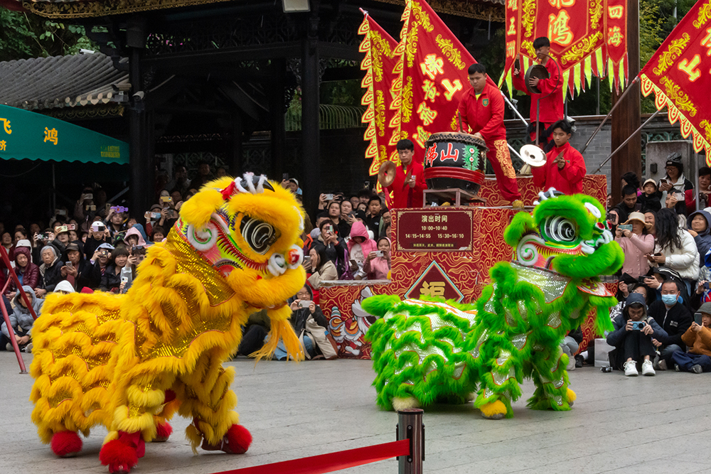 圖為廣東省佛山市祖廟的醒獅表演。