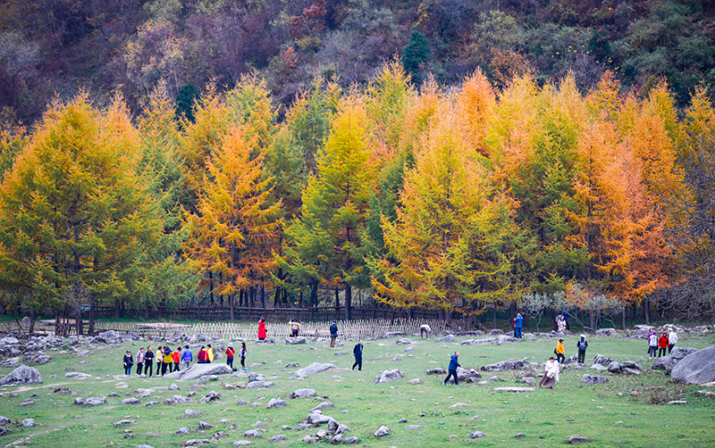 2023年10月27日，深秋時節(jié)的陜西秦嶺太子嶺漫山紅黃、色彩交織，進入最佳觀賞期。
