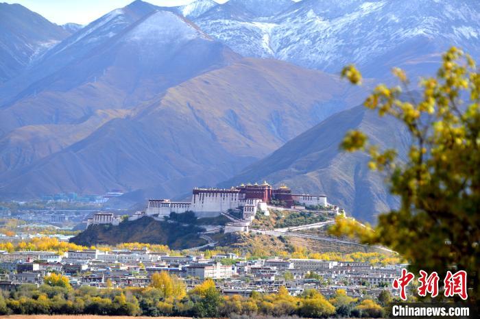 10月24日，雪山、布達(dá)拉宮和秋色組成“風(fēng)景畫”?！〗w波 攝