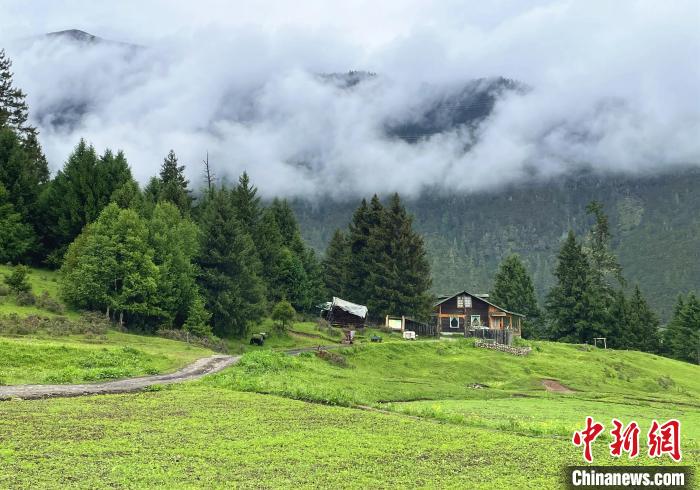 6月10日，魯朗小鎮(zhèn)高山牧場(chǎng)景區(qū)風(fēng)光。　冉文娟 攝