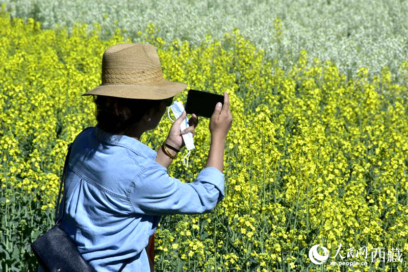 大片油菜花吸引游客到來(lái)。人民網(wǎng) 李海霞攝