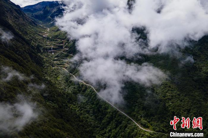 西藏山南勒布溝景區(qū)的盤山公路被云霧環(huán)繞?！〗w波 攝