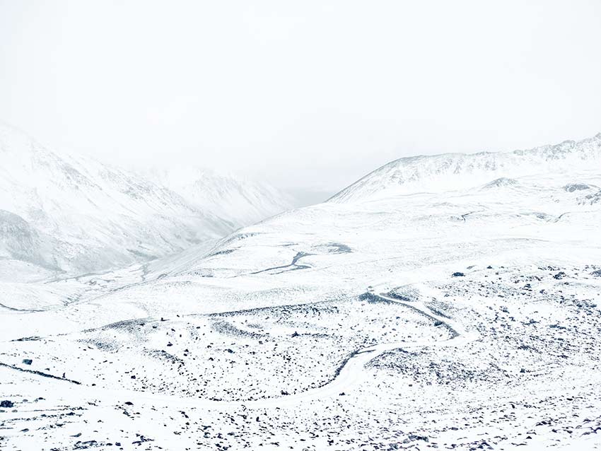 資料圖。云南白馬雪山國家級(jí)自然保護(hù)區(qū)供圖