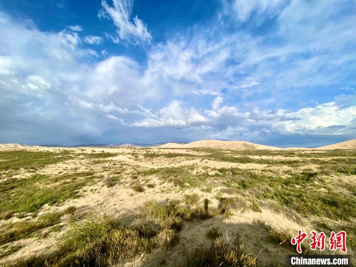 圖為關停四年后的沙島景區(qū)現(xiàn)狀。　李江寧 攝