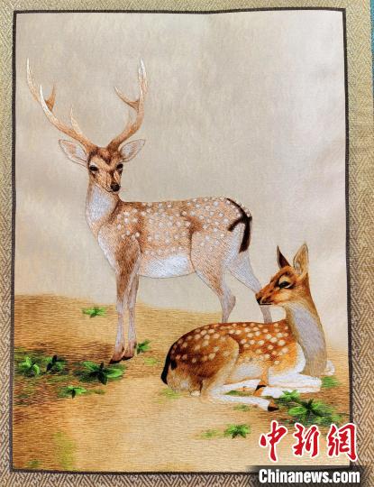 圖為藏繡作品?！∑钤鲚?攝
