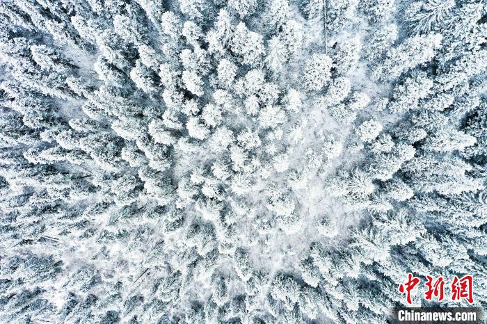 壤塘的雪后美景?！∪捞量h融媒體中心供圖