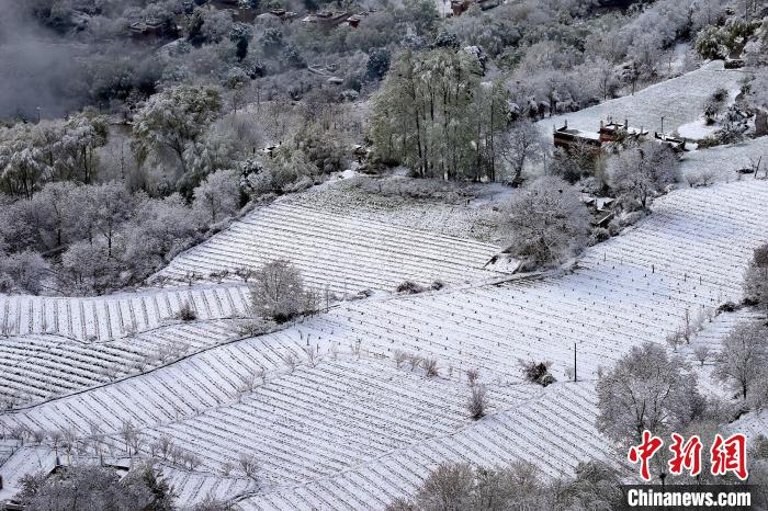雪后的高山田間如畫(huà)?！±钣腊?攝