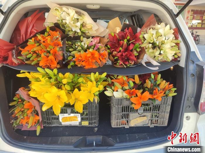 剛剛采摘下來的百合花?！∪捞量h委宣傳部供圖