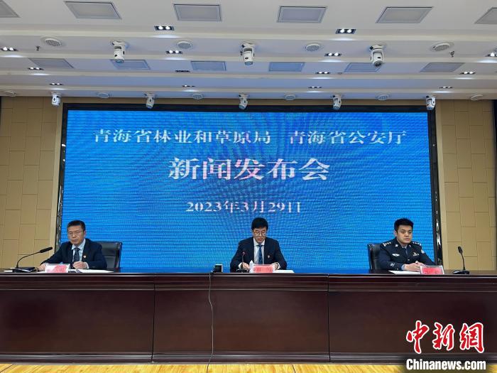 青海去年占用林地、草地準予許可件同比實現(xiàn)“雙減”
