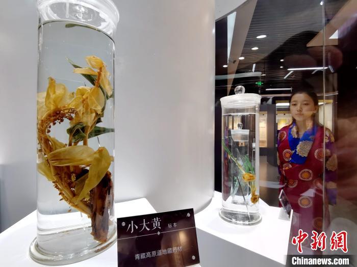 青海中藏醫(yī)藥發(fā)展提速：建設(shè)一批重點(diǎn)?？茖W(xué)科，推廣一批適宜技術(shù)