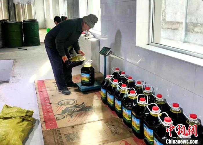 圖為高原油菜籽榨出的菜籽油?！埖么?攝