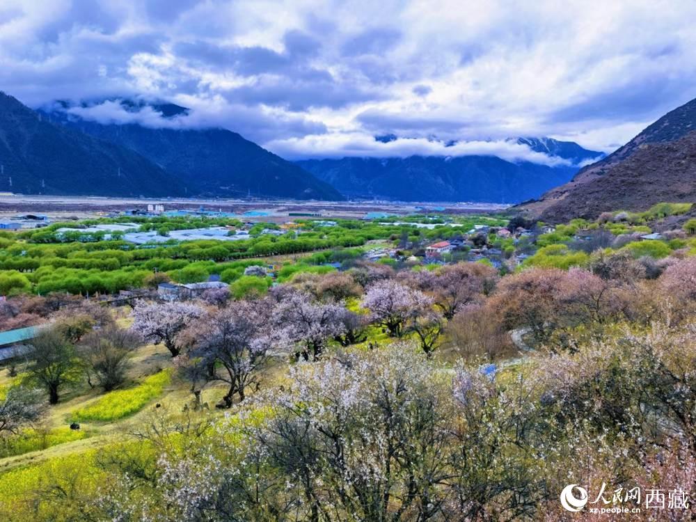 桃花從中的“童話小鎮(zhèn)”。人民網(wǎng) 李海霞攝