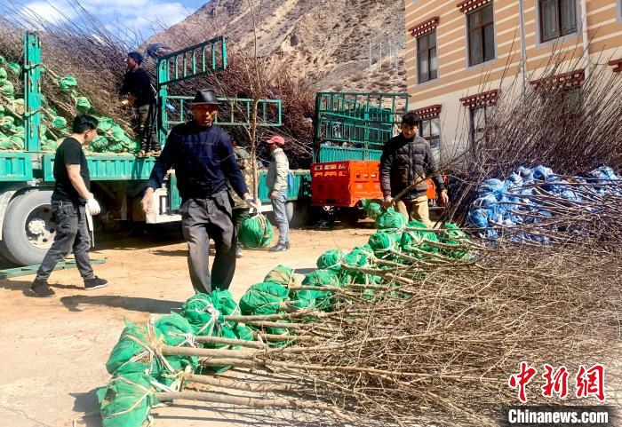 民眾搬運苗木?！〔际忻⒖悼h委宣傳部供圖