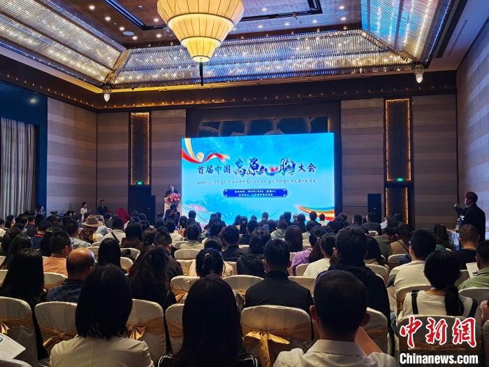 圖為首屆中國高原心胸大會現(xiàn)場?！☆D旦旺姆 攝