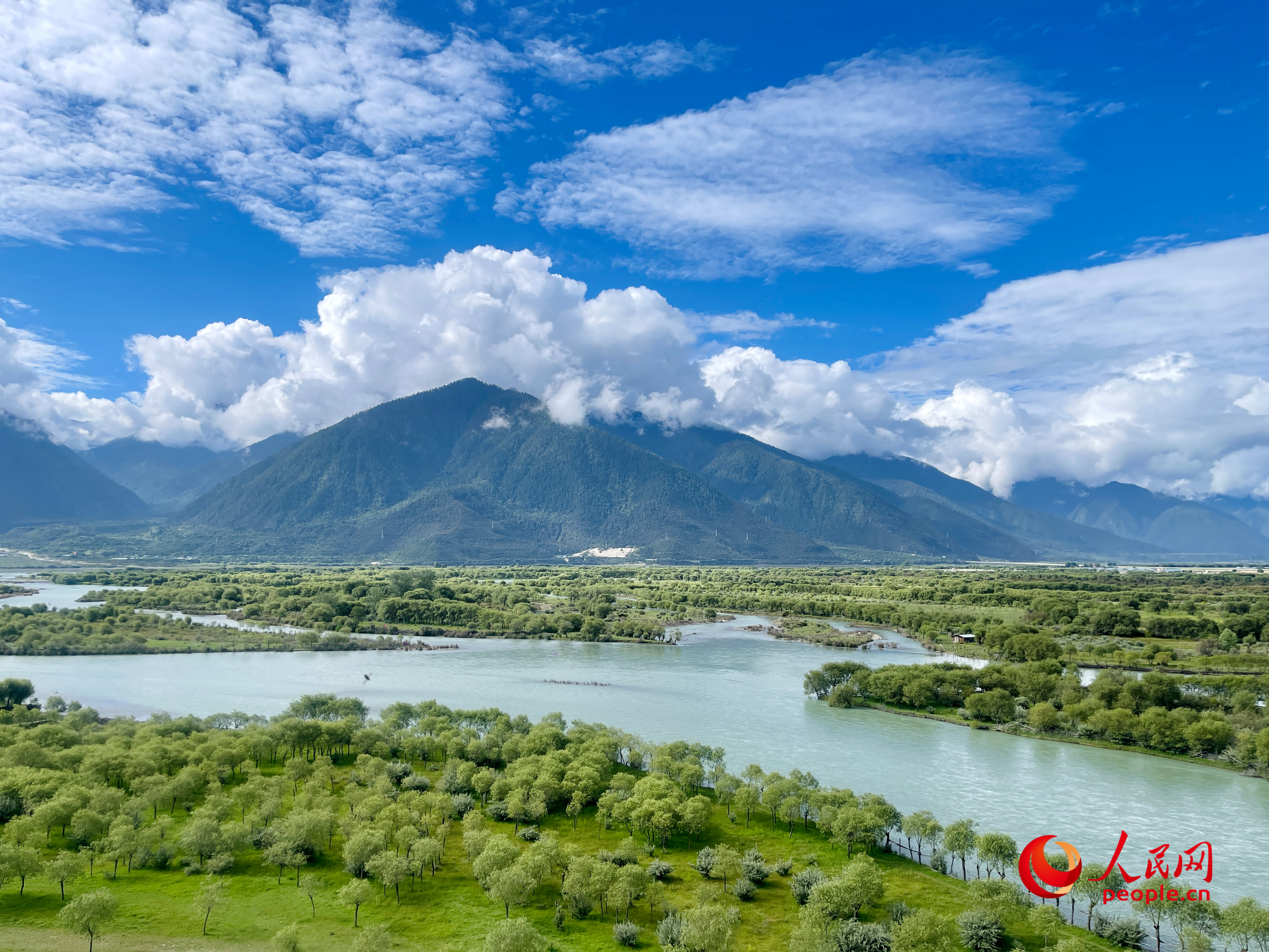 夏日的雅尼國(guó)家濕地公園生機(jī)盎然，如詩(shī)如畫。人民網(wǎng) 周靜圓攝
