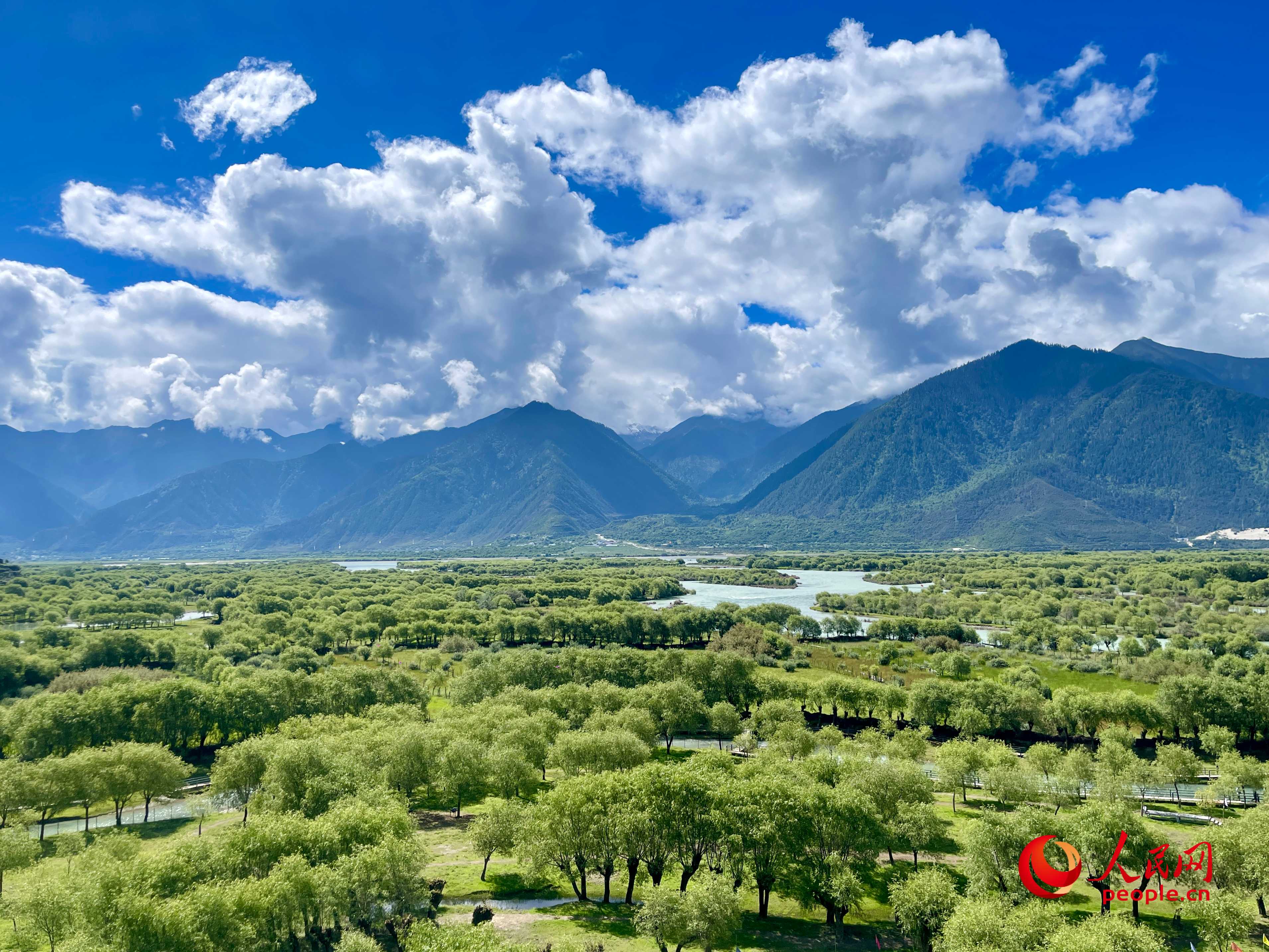 夏日的雅尼國(guó)家濕地公園生機(jī)盎然，如詩(shī)如畫。人民網(wǎng) 周靜圓攝