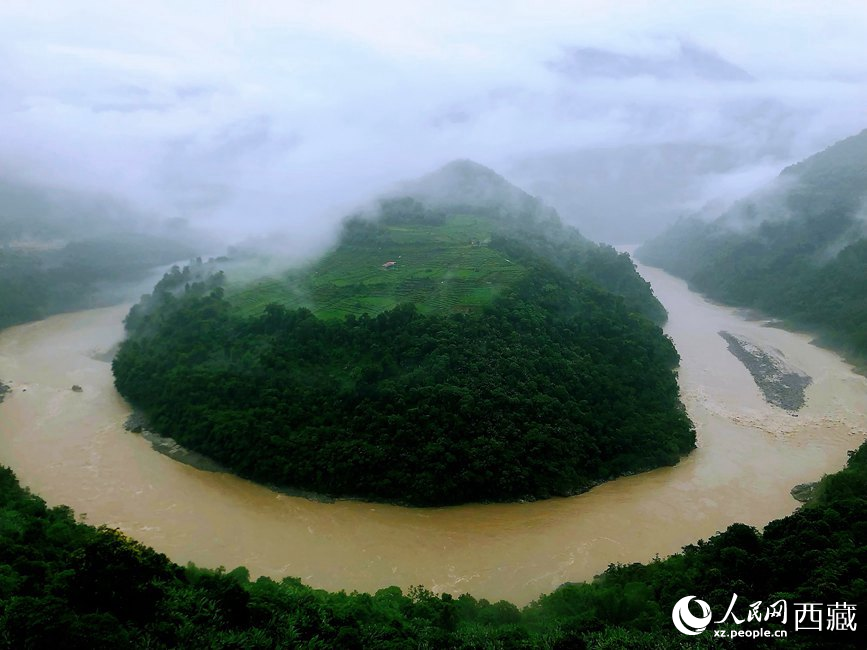 雅魯藏布江大峽谷蛇形拐彎處，山坡上種滿茶樹。