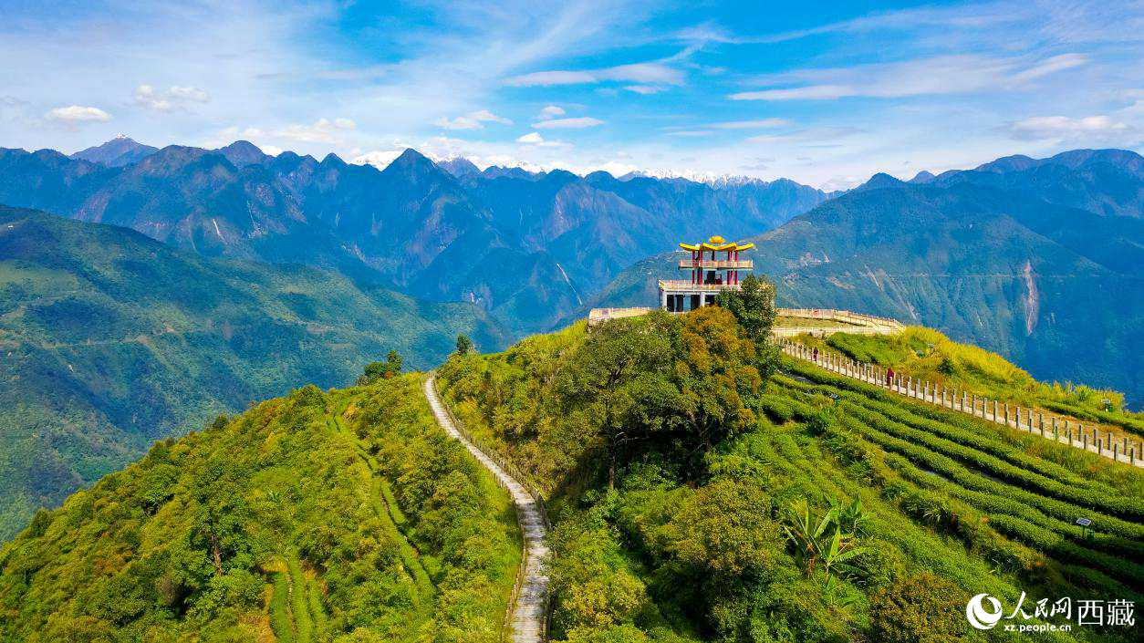 無人機航拍墨脫縣格林村蓮花觀景臺。人民網(wǎng)記者 次仁羅布攝