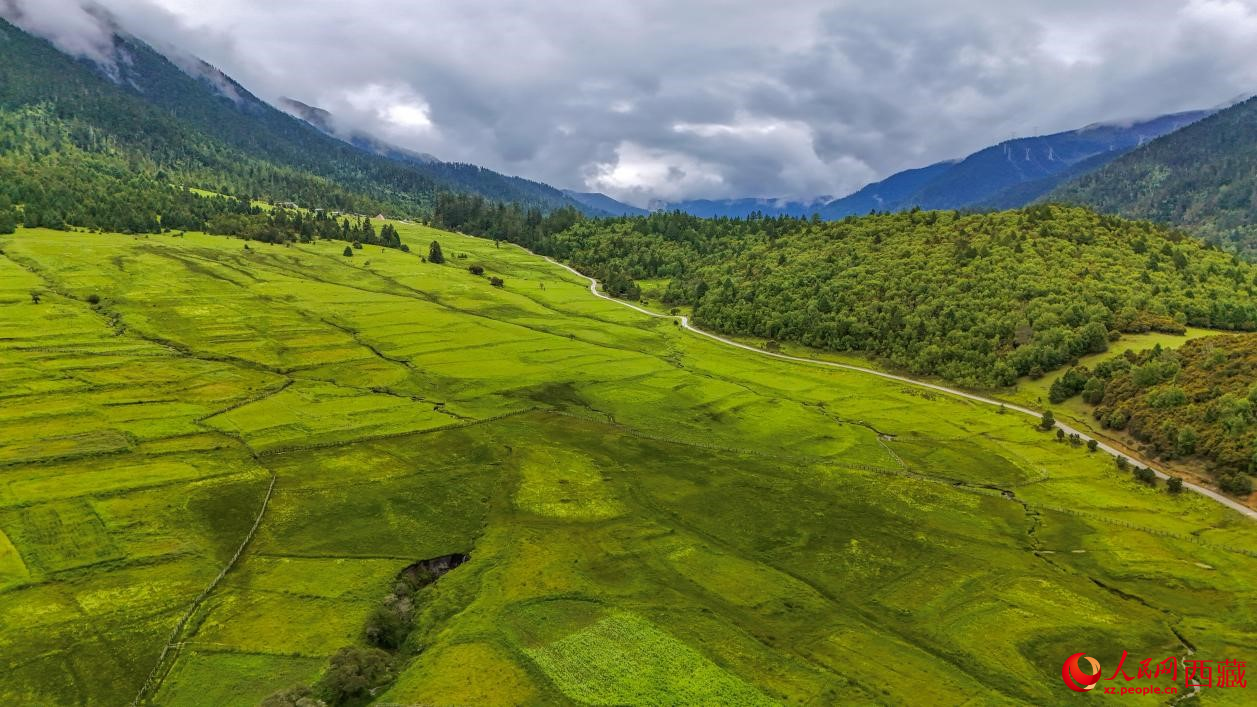 圖為航拍高山牧場(chǎng)鳥瞰圖。人民網(wǎng)記者 次仁羅布攝